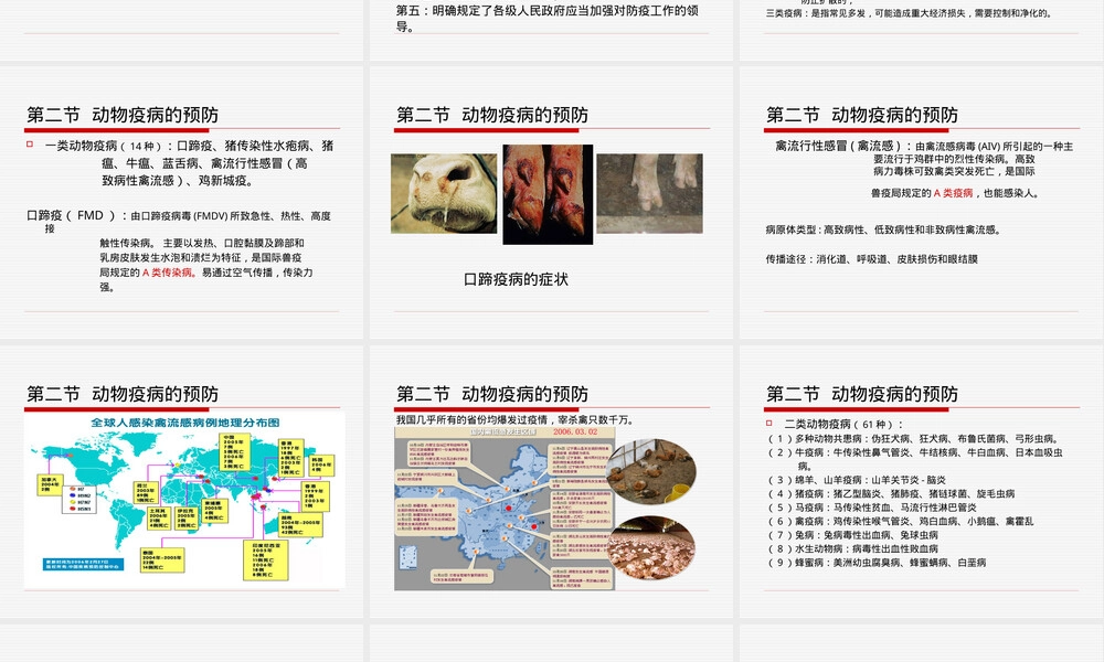 第6章动物防疫管理PPT课件.ppt
