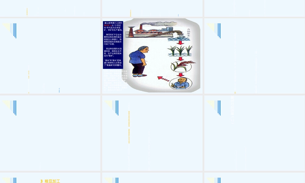 第八章各类食品卫生及其管理PPT课件 副本1.ppt