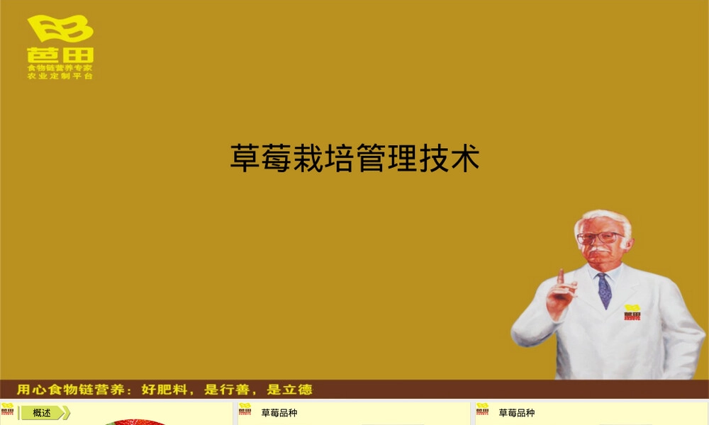 草莓栽培管理技术教学PPT课件.ppt