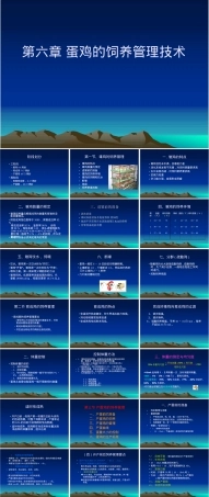 第六章蛋鸡饲养管理技术PPT课件.ppt