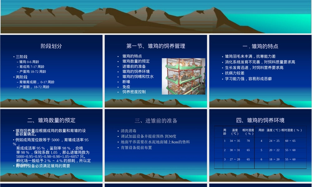第六章蛋鸡饲养管理技术PPT课件.ppt