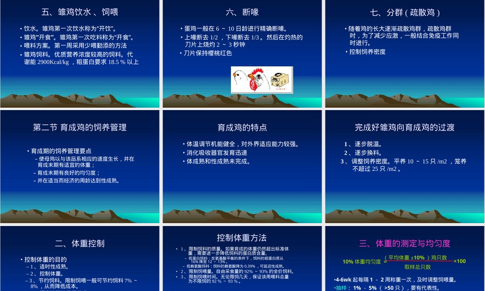 第六章蛋鸡饲养管理技术PPT课件.ppt