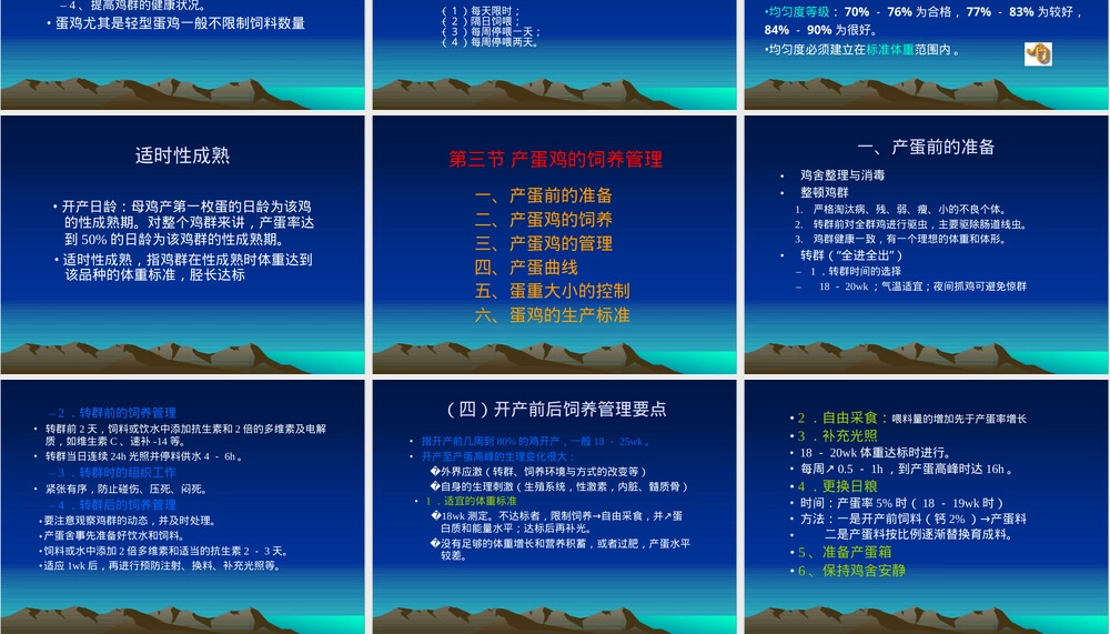 第六章蛋鸡饲养管理技术PPT课件.ppt