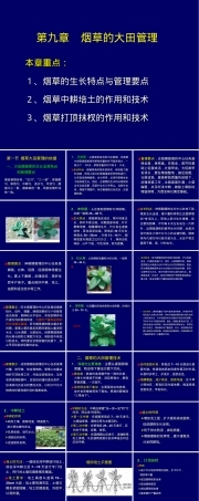 第八章烟草大田管理教学PPT课件.ppt