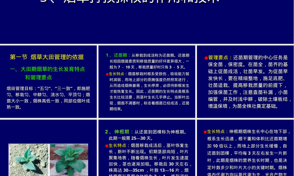 第八章烟草大田管理教学PPT课件.ppt