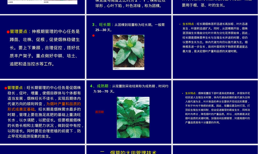 第八章烟草大田管理教学PPT课件.ppt