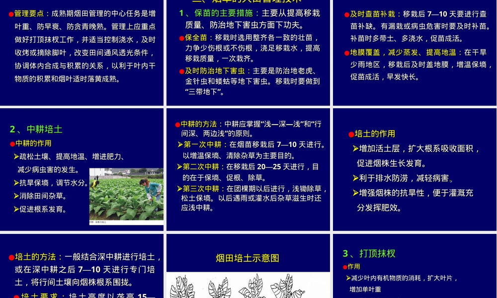 第八章烟草大田管理教学PPT课件.ppt