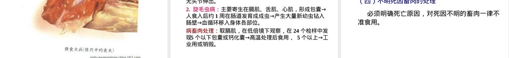 第八章各类食品卫生及其管理PPT课件.ppt