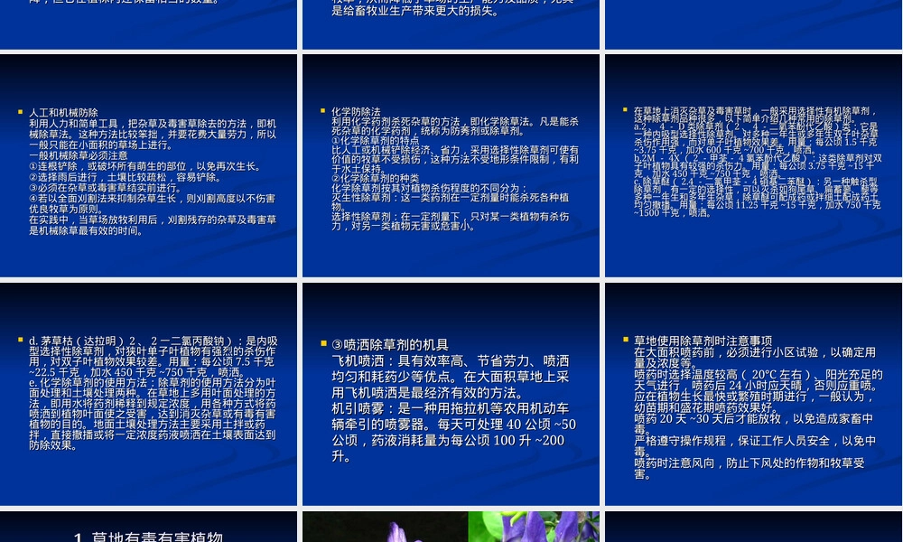 草地有毒有害植物及其防除PPT课件.ppt