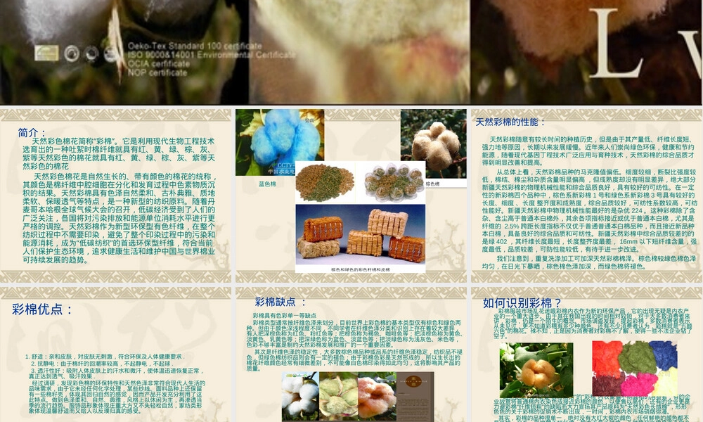 彩棉服装材料教学PPT课件.ppt