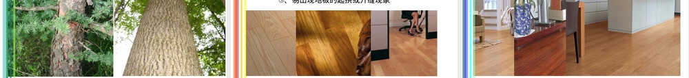 地面装饰材料木质材料PPT课件.ppt