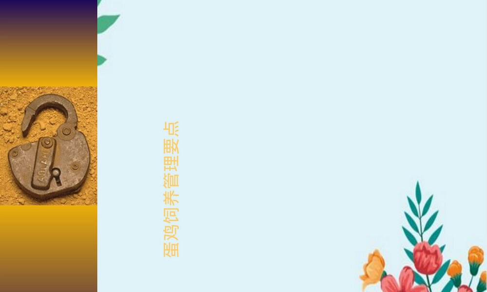 蛋鸡饲养管理要点PPT课件.ppt