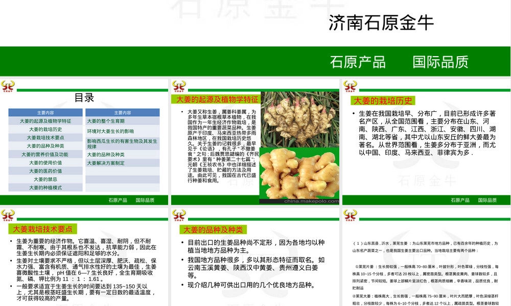 大姜全程管理方案PPT课件.ppt