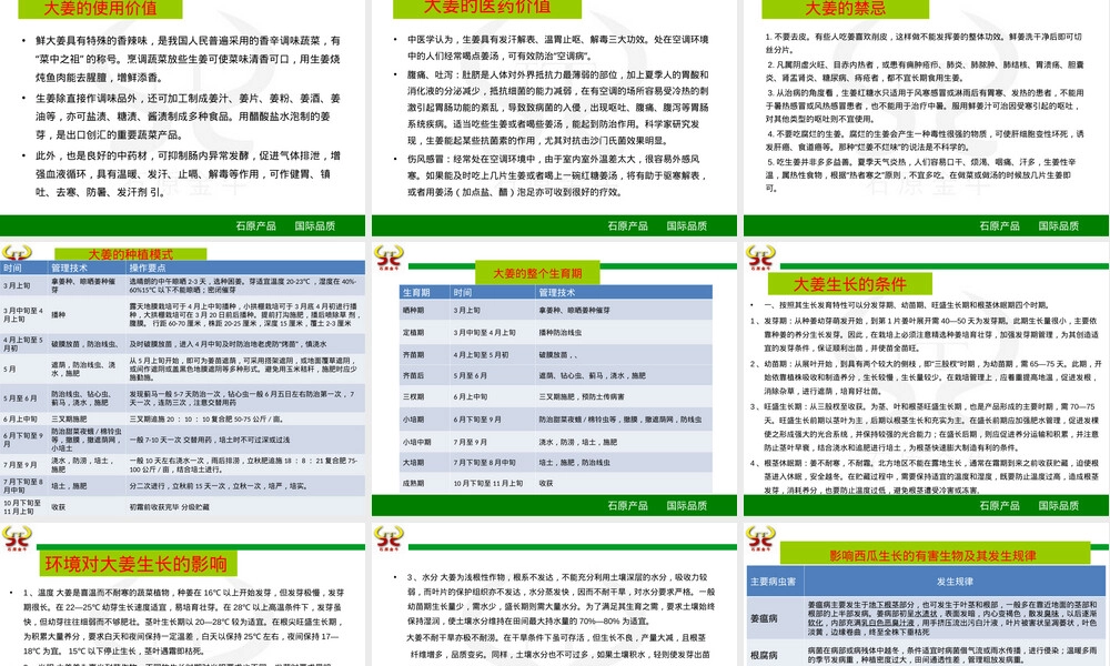 大姜全程管理方案PPT课件.ppt
