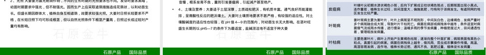 大姜全程管理方案PPT课件.ppt
