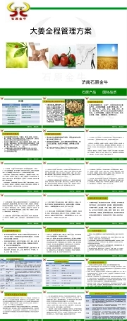 大姜全程管理方案PPT课件.ppt