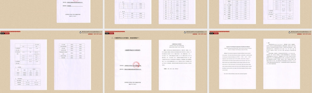 大鲵生物学特征与保护PPT课件.ppt