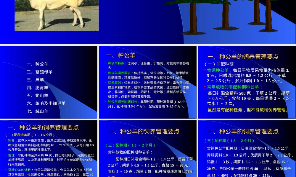 第七章羊的饲养管理PPT课件.ppt
