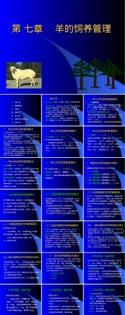第七章羊的饲养管理PPT课件.ppt