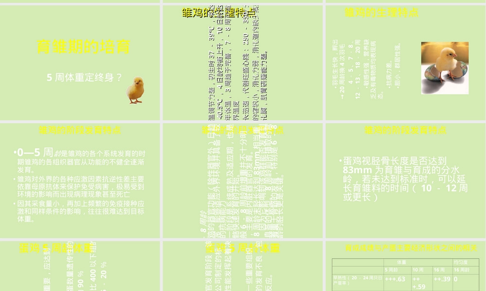 蛋鸡饲养管理技术PPT课件.ppt
