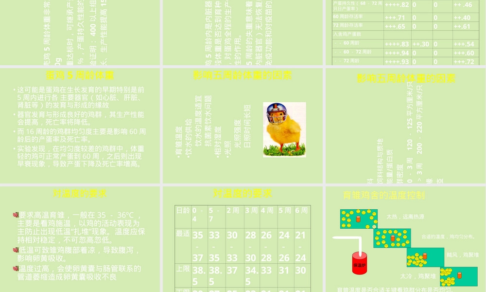 蛋鸡饲养管理技术PPT课件.ppt