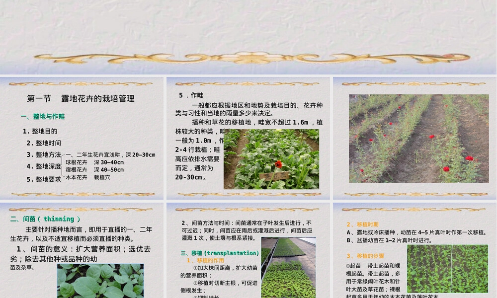 第六章花卉栽培管理PPT课件.ppt
