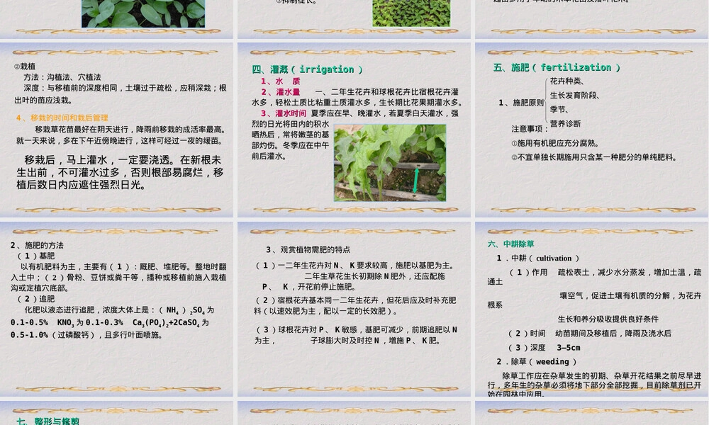 第六章花卉栽培管理PPT课件.ppt