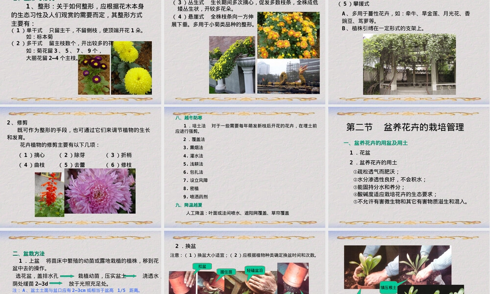 第六章花卉栽培管理PPT课件.ppt