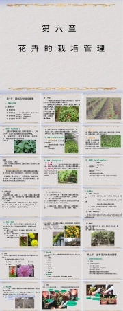 第六章花卉栽培管理PPT课件.ppt
