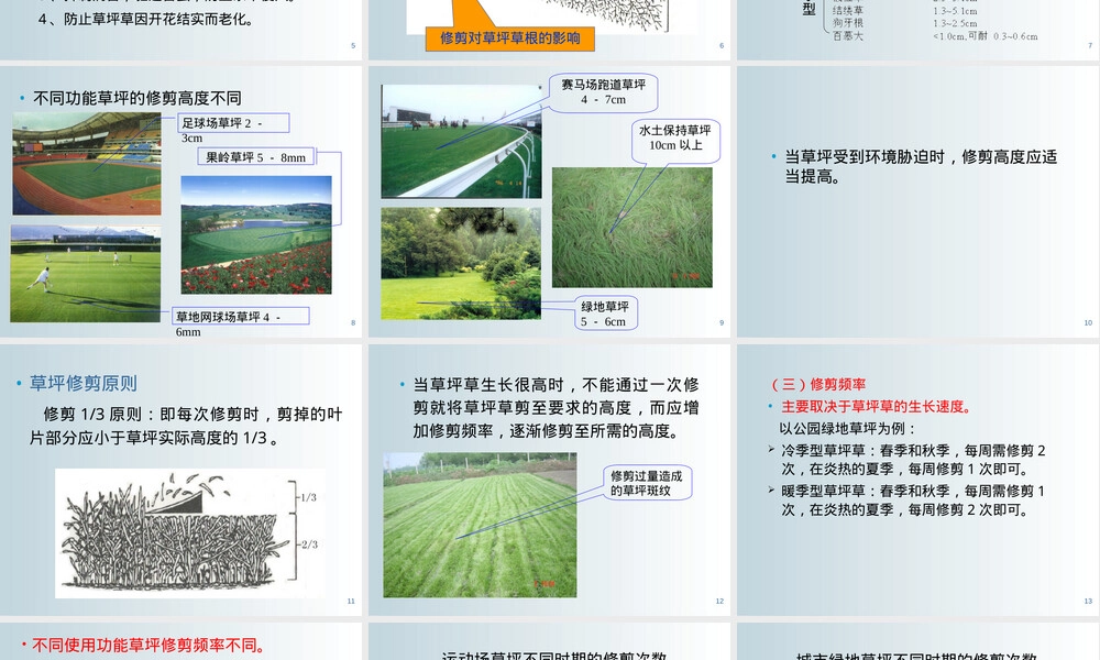 草坪养护管理教学PPT课件.ppt