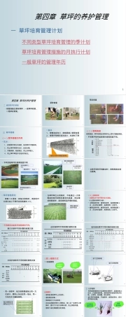 草坪养护管理教学PPT课件.ppt