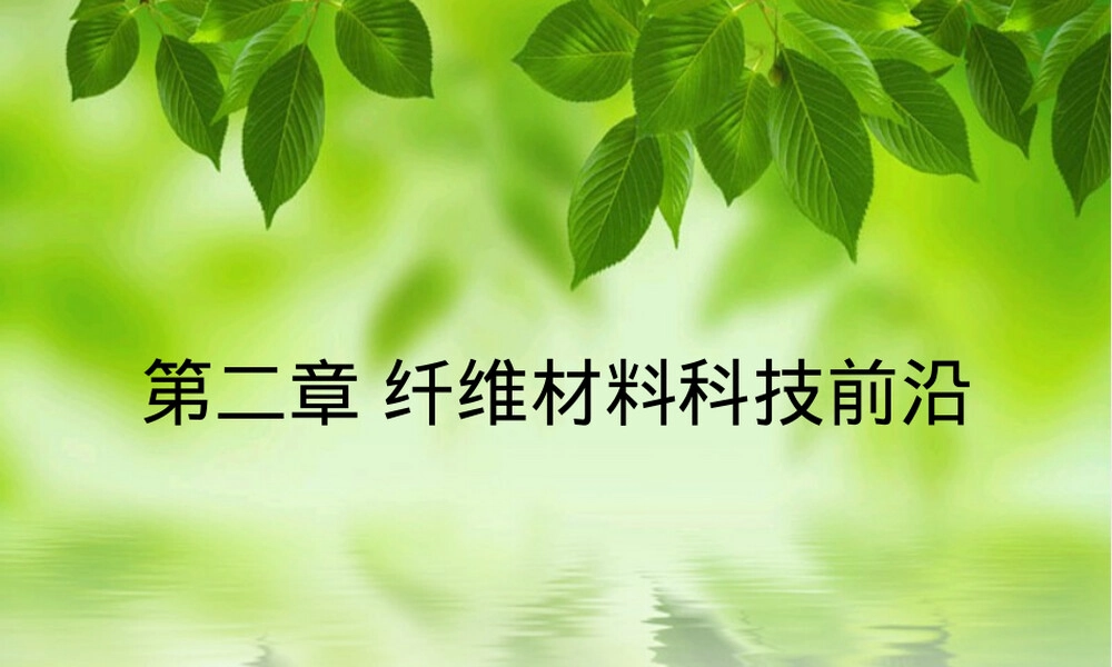 第二章纤维材料科技前沿PPT课件.ppt