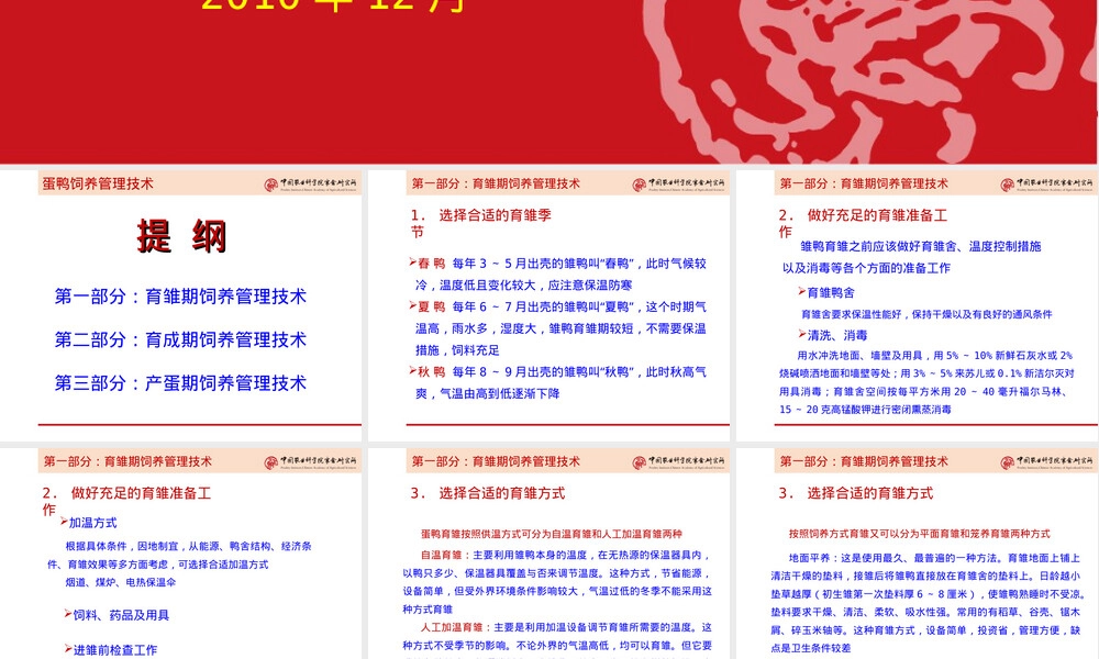 蛋鸭饲养管理技术ppt课件.ppt