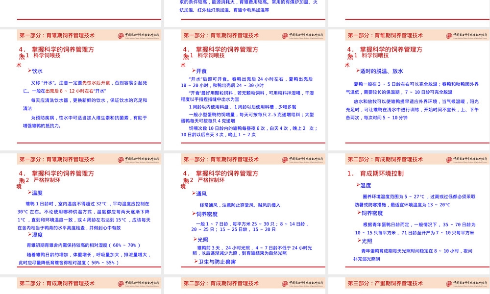蛋鸭饲养管理技术ppt课件.ppt