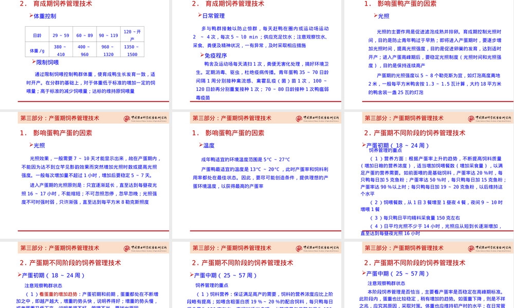 蛋鸭饲养管理技术ppt课件.ppt