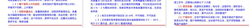 蛋鸭饲养管理技术ppt课件.ppt