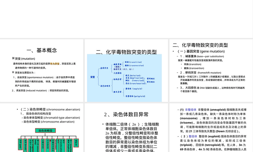 第八章致突变作用食品毒理学PPT课件.ppt