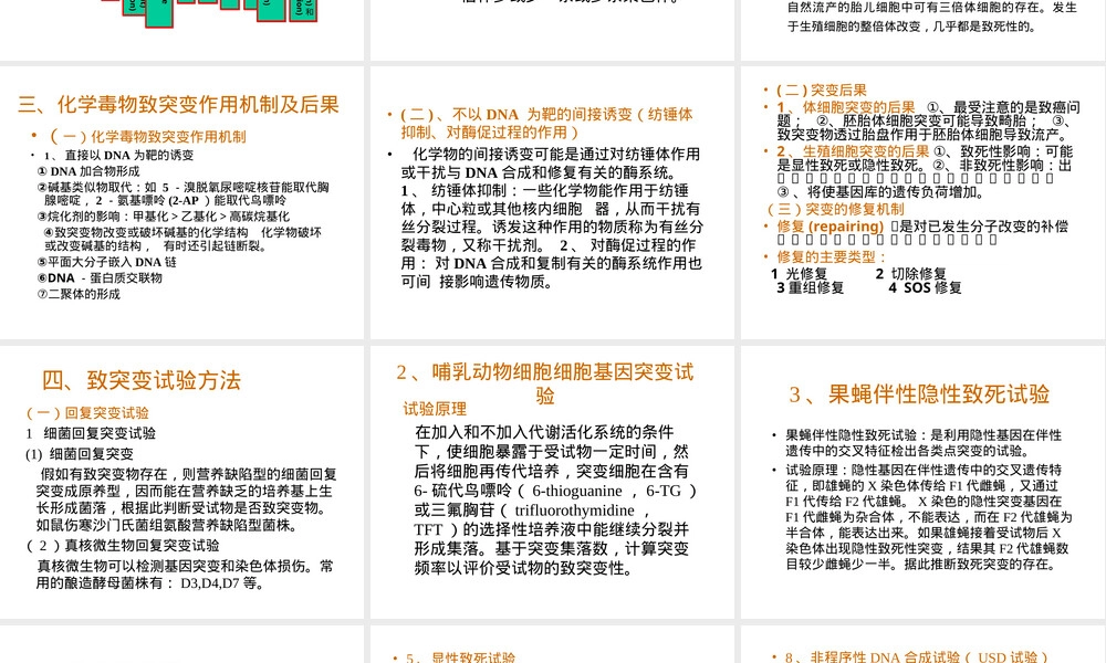 第八章致突变作用食品毒理学PPT课件.ppt