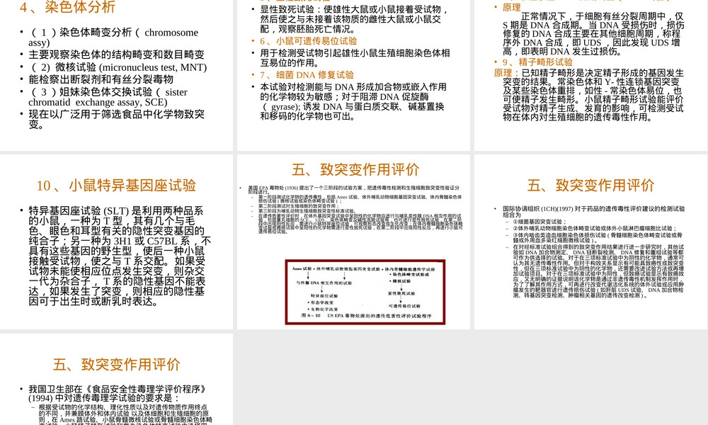 第八章致突变作用食品毒理学PPT课件.ppt
