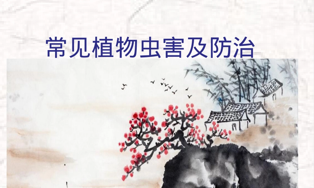 常见植物虫害及其防治PPT课件.pptx