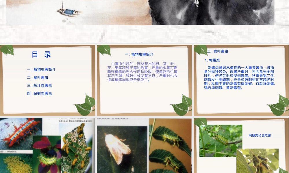 常见植物虫害及其防治PPT课件.pptx
