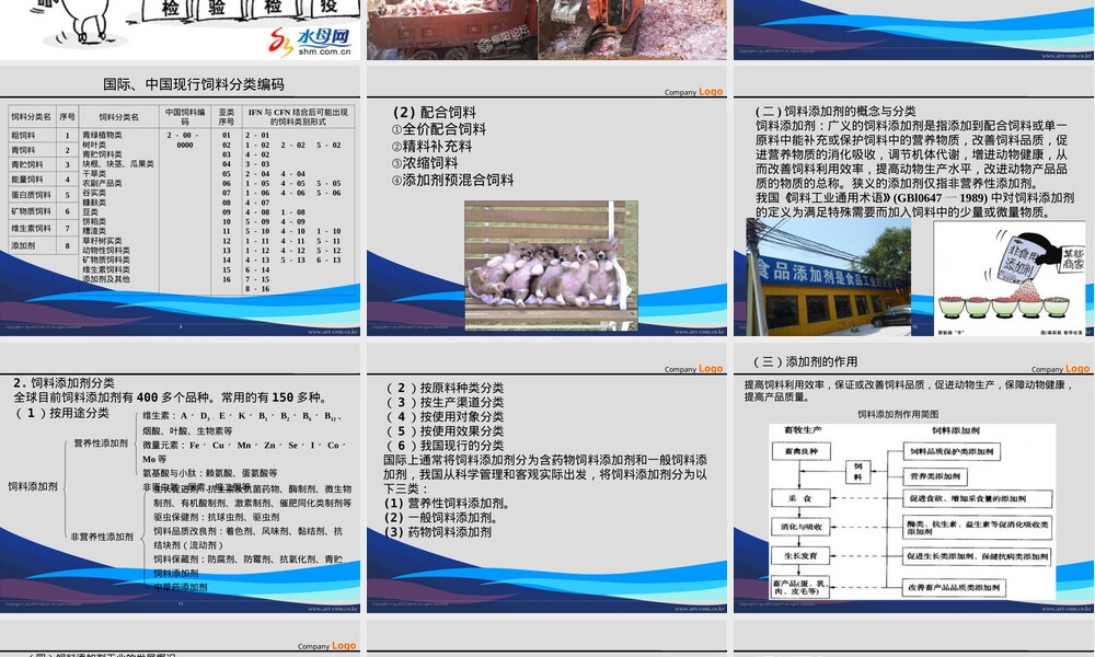 第4章饲料和饲料添加剂管理PPT课件.ppt