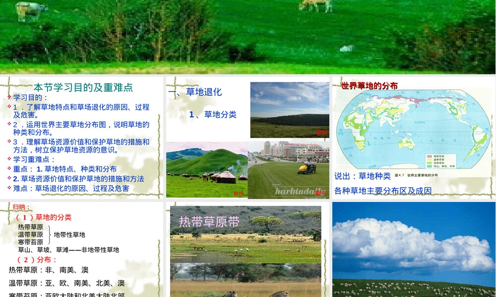 草原退化及其防治PPT课件.ppt