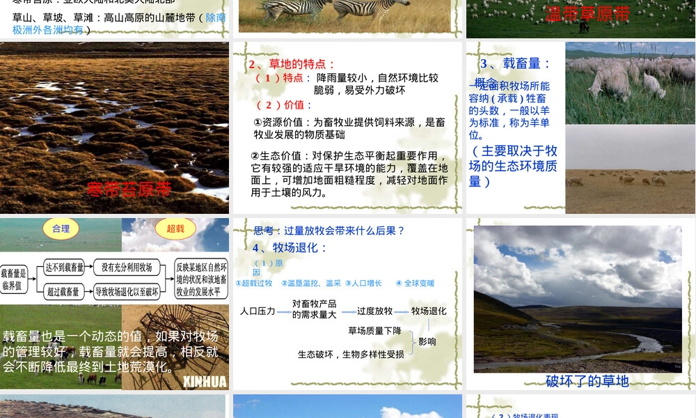 草原退化及其防治PPT课件.ppt
