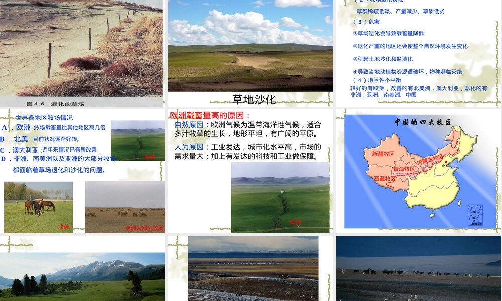 草原退化及其防治PPT课件.ppt