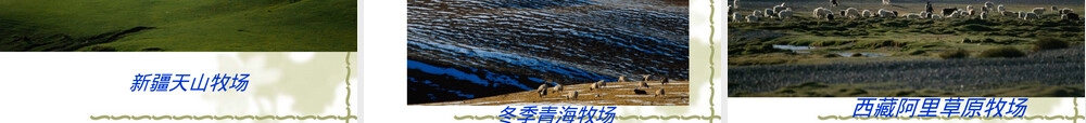 草原退化及其防治PPT课件.ppt