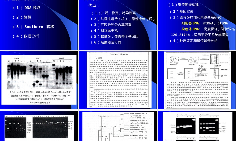 第二章DNA分子标记及其应用教学PPT课件.ppt