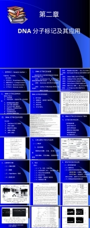 第二章DNA分子标记及其应用教学PPT课件.ppt