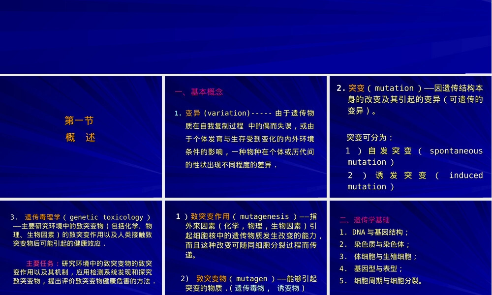 第七章外源化学物致突变作用教学PPT课件.ppt