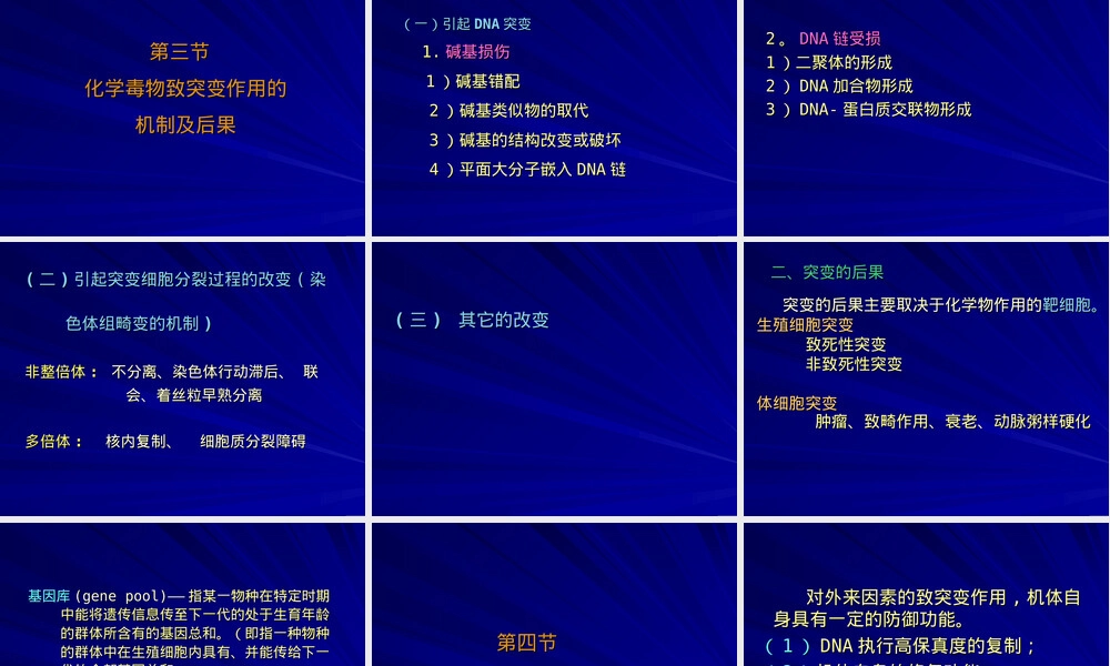 第七章外源化学物致突变作用教学PPT课件.ppt